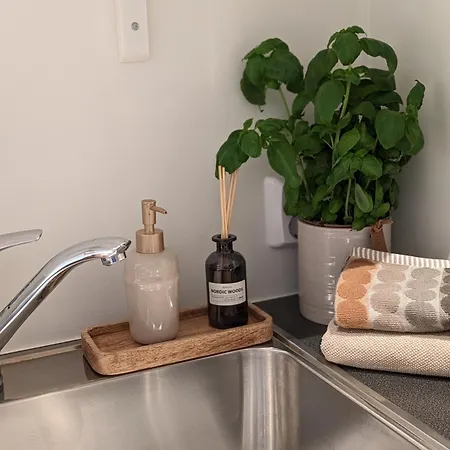 Apartment Meget Hjemmekoseligisentraltinyoppusset *