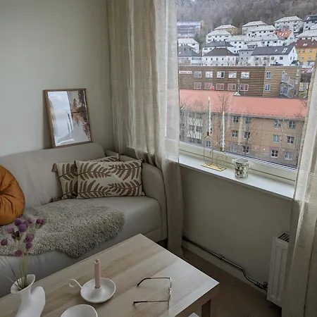 Meget Hjemmekoseligisentraltinyoppusset Bergen