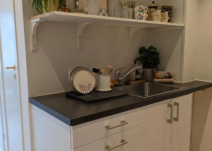 Meget Hjemmekoseligisentraltinyoppusset Bergen