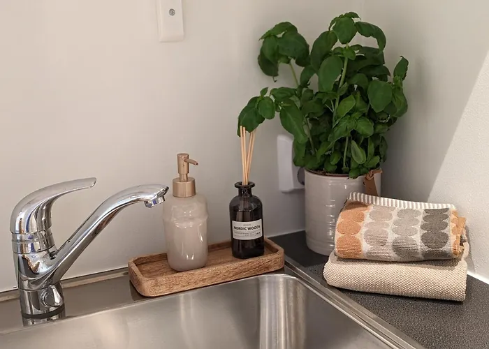 Apartman Meget Hjemmekoseligisentraltinyoppusset *