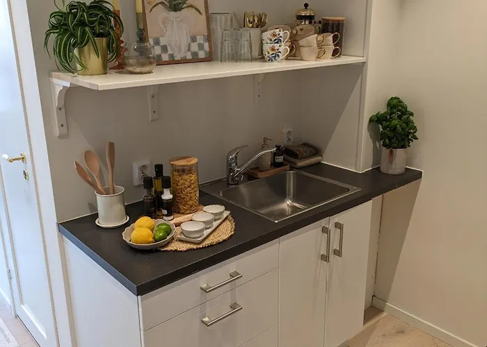 Meget Hjemmekoseligisentraltinyoppusset *