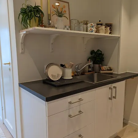 Meget Hjemmekoseligisentraltinyoppusset 卑爾根